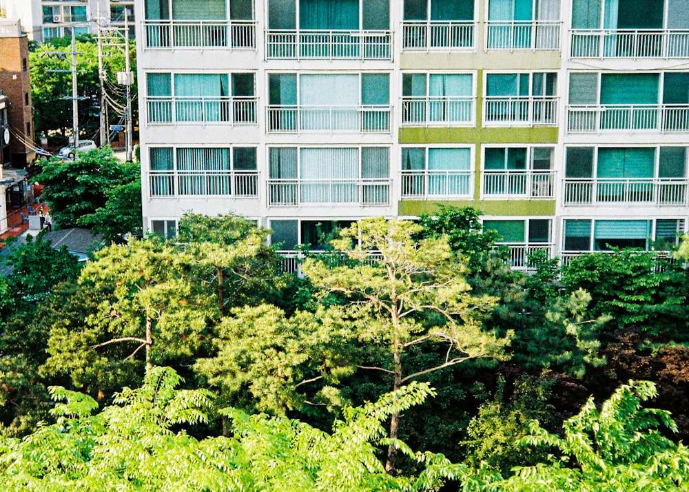 Árboles verdes cerca de un edificio de hormigón blanco durante el día