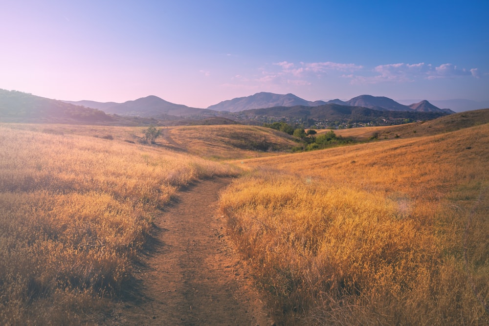 brown grass field near mountain under blue sky during daytime