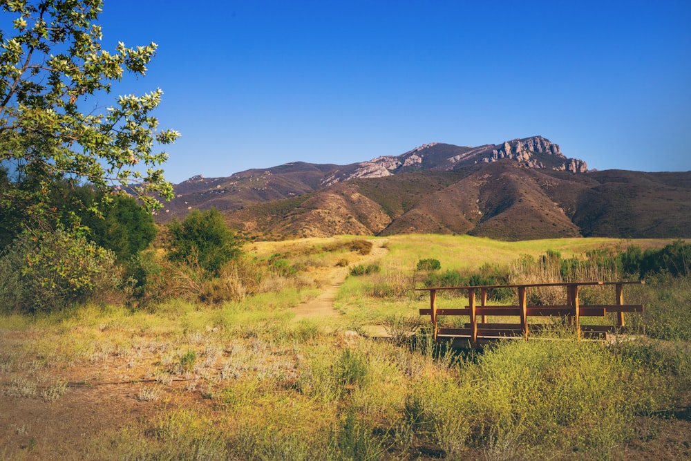 brown wooden bench on green grass field near brown mountain under blue sky during daytime