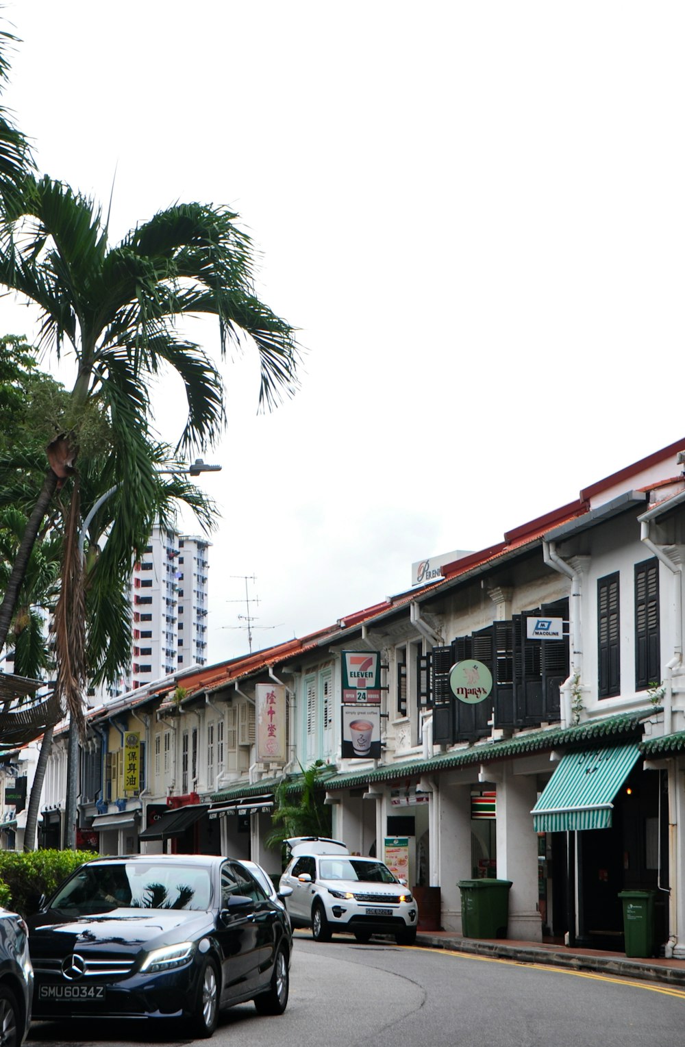 edificio in calcestruzzo verde e bianco vicino alle palme durante il giorno