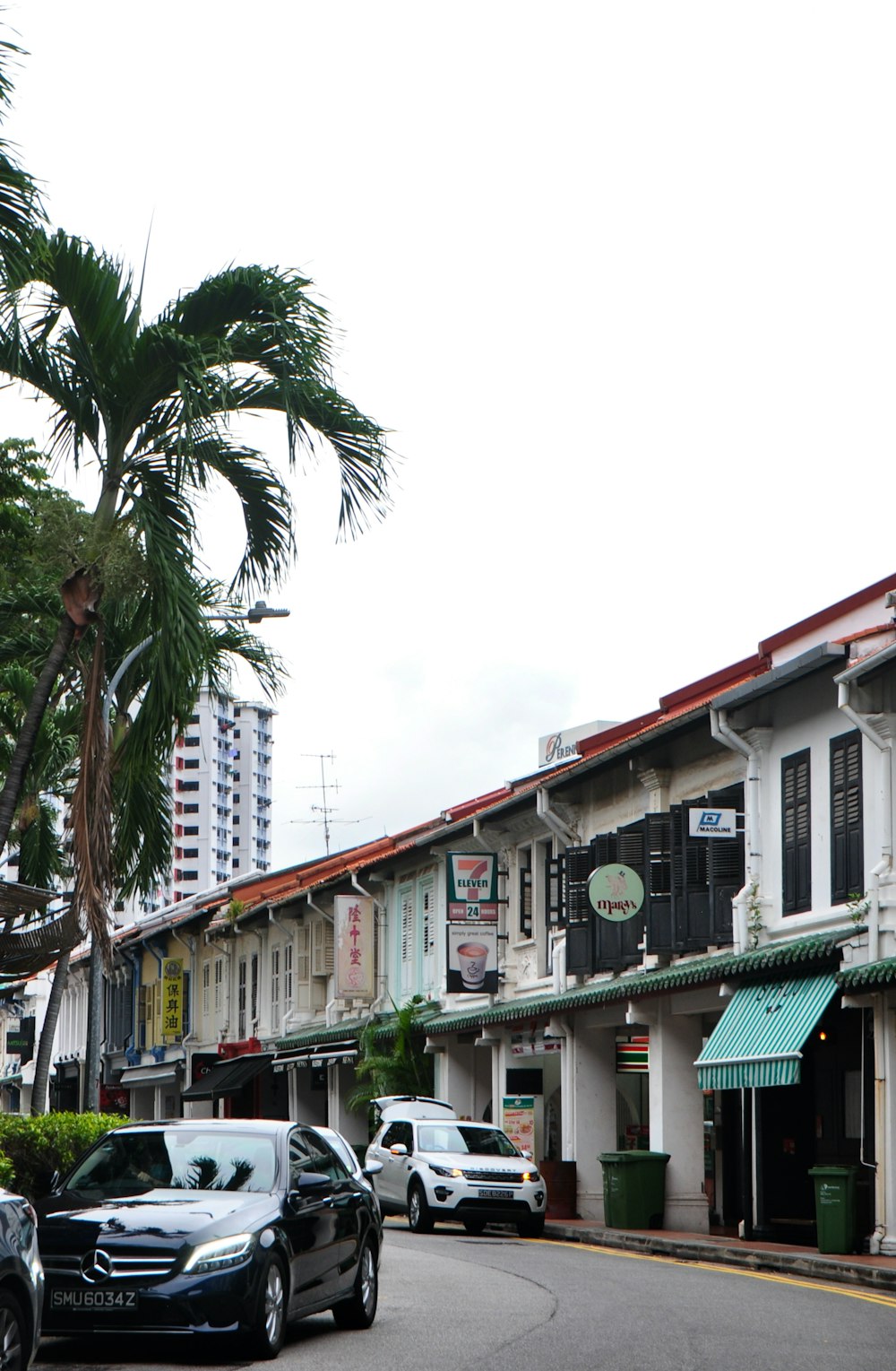 green and white concrete building near palm trees during daytime