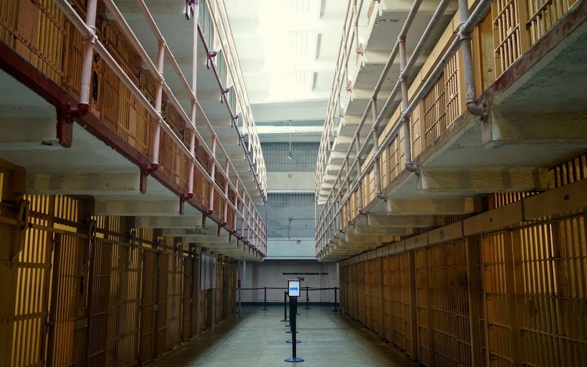 La médiation animale en prison: essai argumenté
