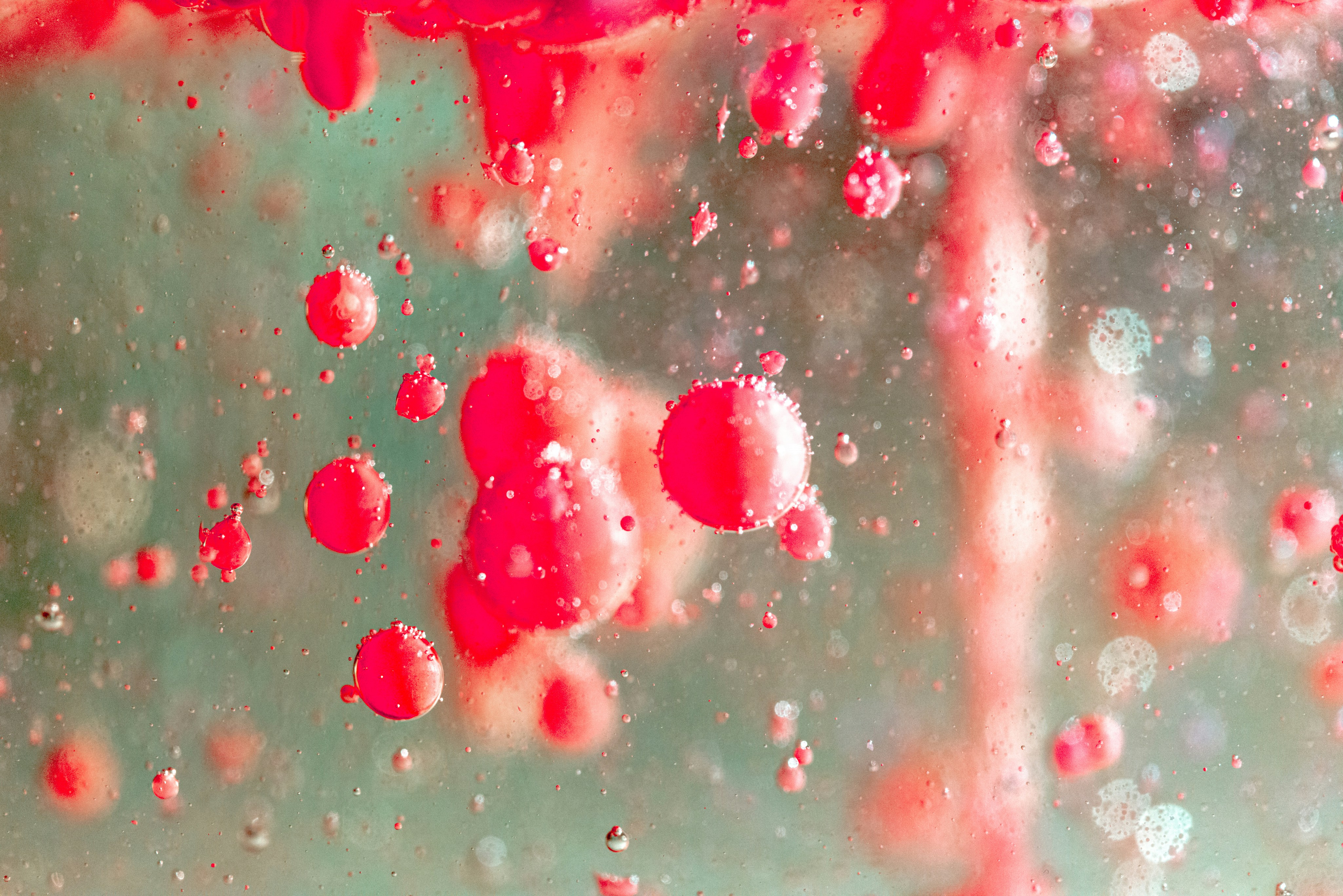 Photo by solenfeyissa