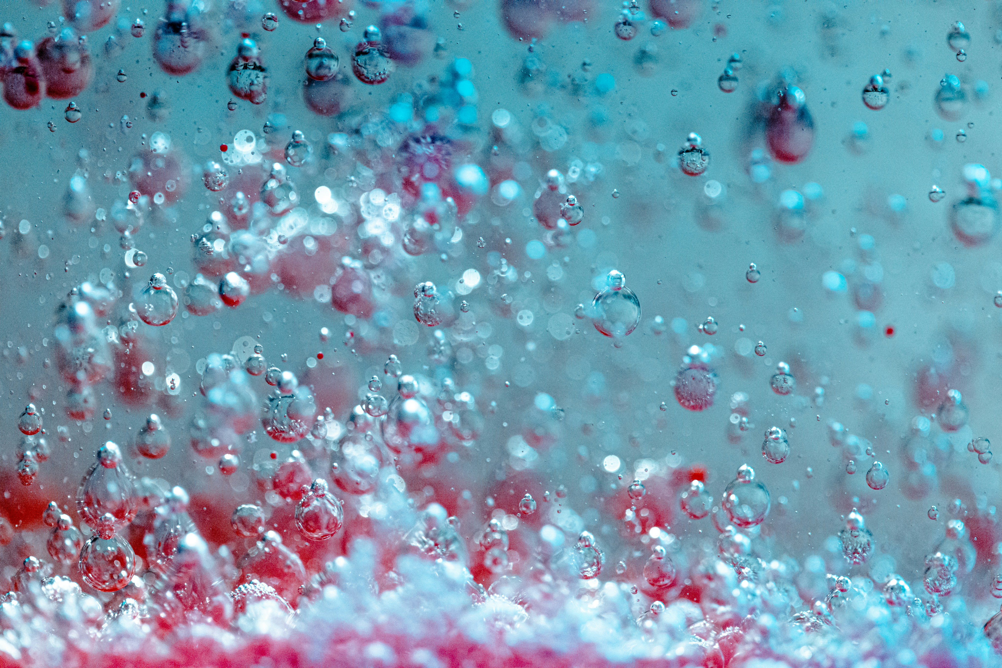 Photo by solenfeyissa