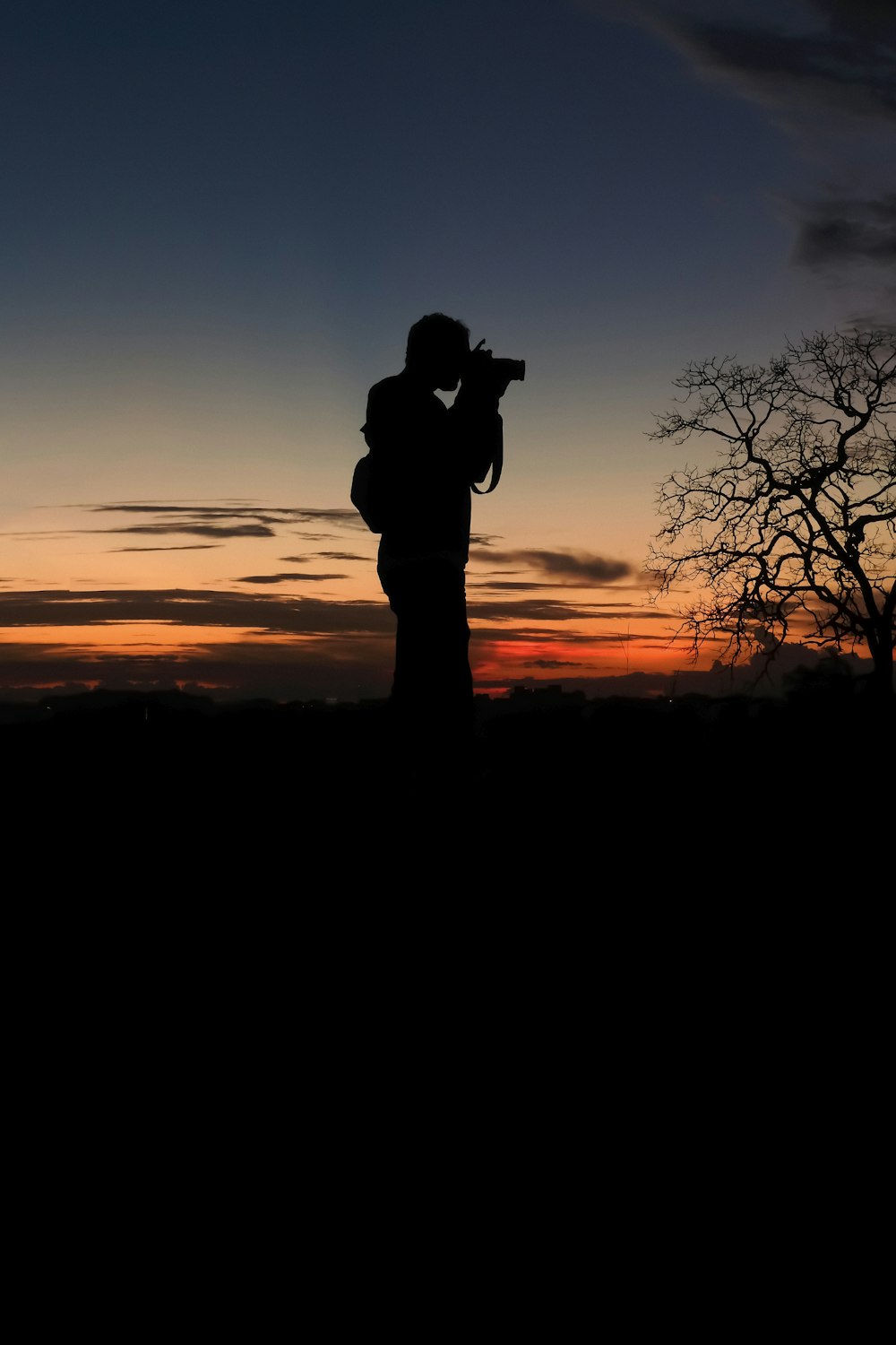 silhouette of man standing near bare tree during sunset