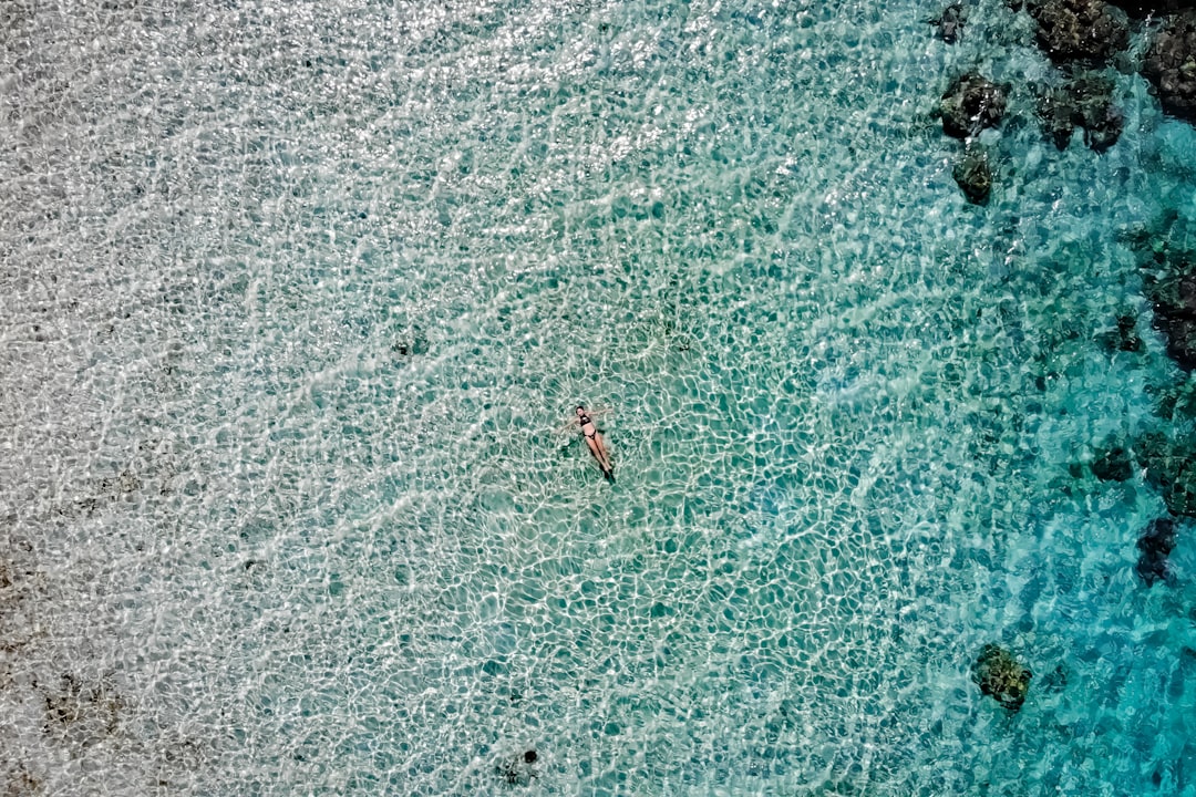 aerial view of people swimming on sea during daytime