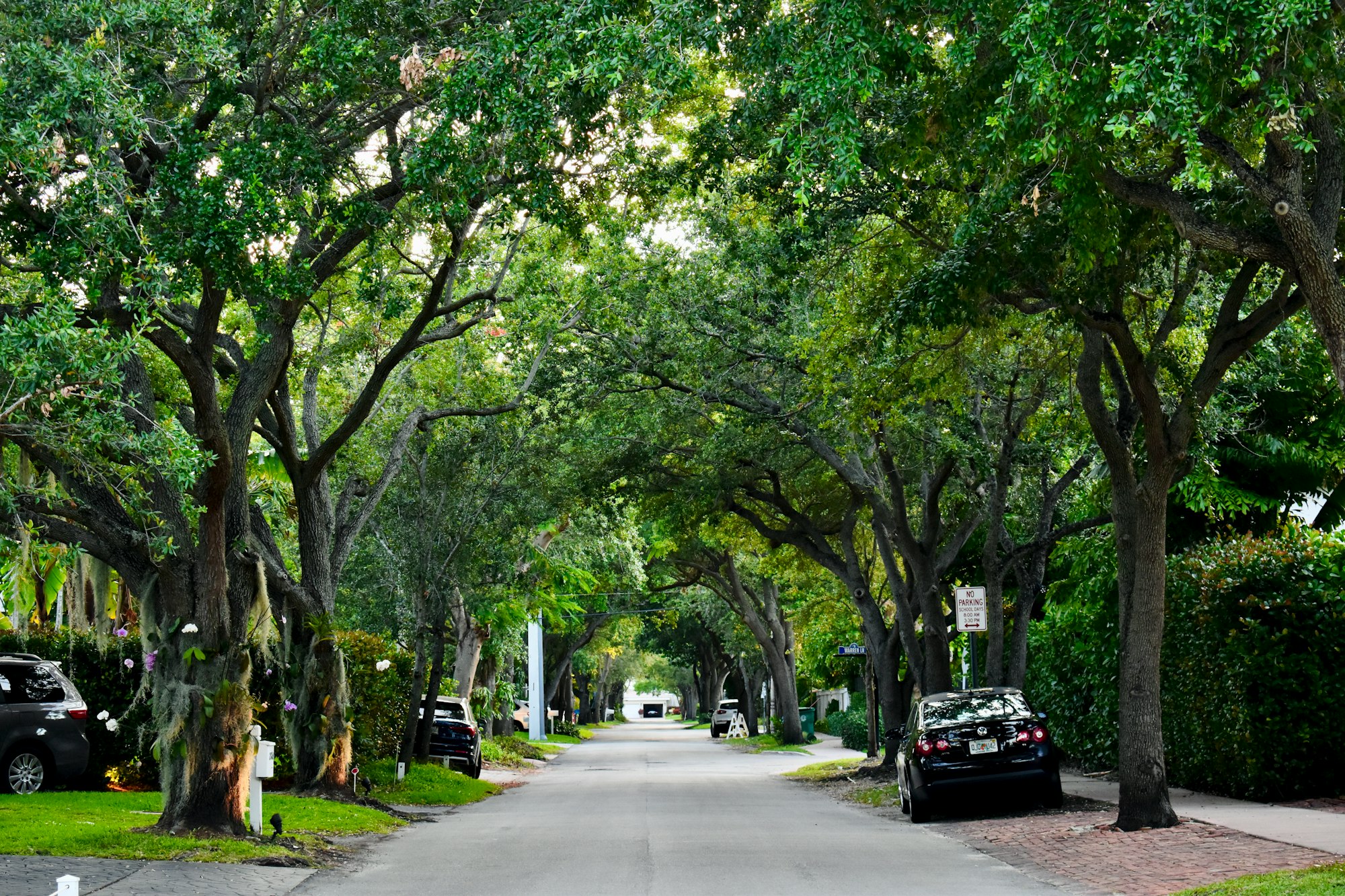 Atlanta Driveway Paving