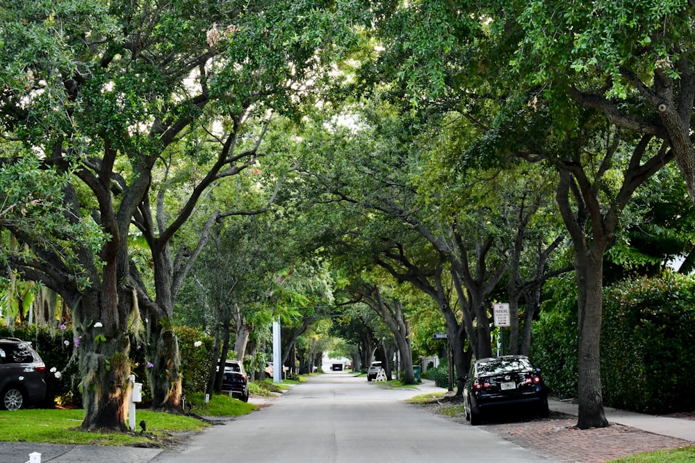 cars parked on sidewalk near trees during daytime