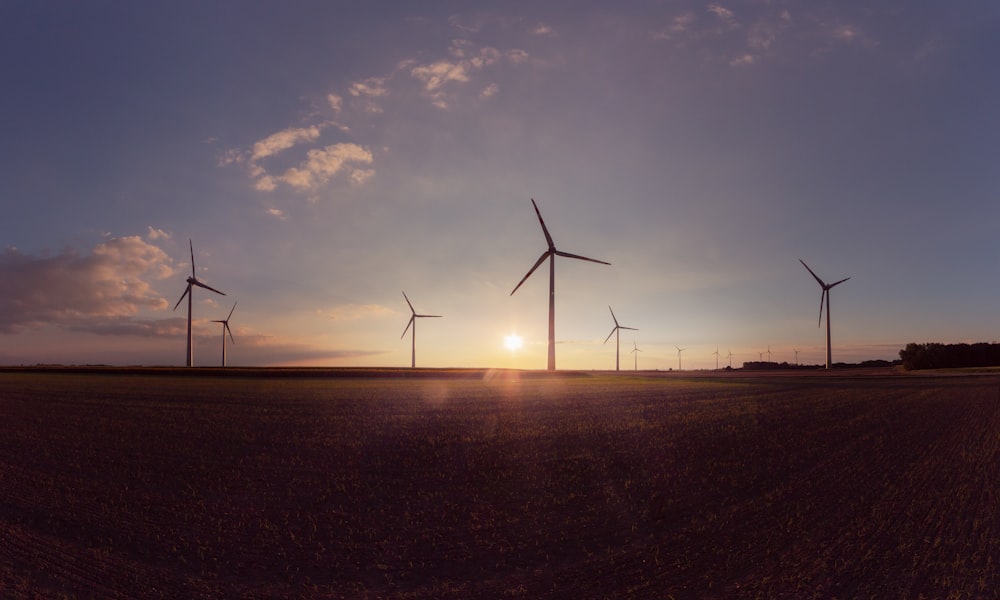 wind turbines on field during sunset