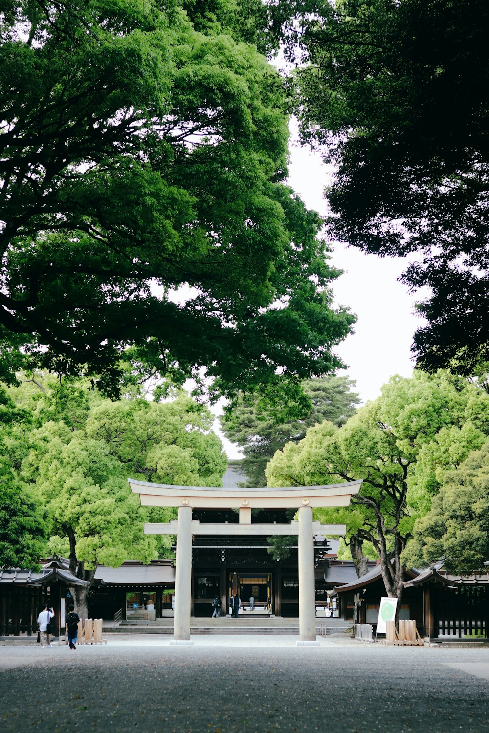 white wooden gazebo surrounded by green trees during daytime