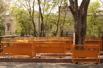 Several orange traffic barriers are lined up on a sidewalk next to a large tree. Behind the barriers, there is a building partially obscured by trees with green leaves. The scene is sunny and the barriers cast shadows on the ground.