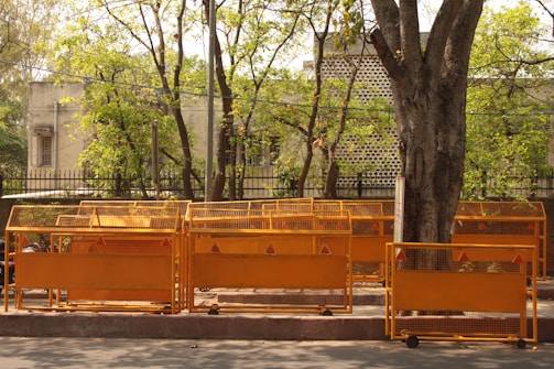 Several orange traffic barriers are lined up on a sidewalk next to a large tree. Behind the barriers, there is a building partially obscured by trees with green leaves. The scene is sunny and the barriers cast shadows on the ground.