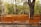 Several orange traffic barriers are lined up on a sidewalk next to a large tree. Behind the barriers, there is a building partially obscured by trees with green leaves. The scene is sunny and the barriers cast shadows on the ground.