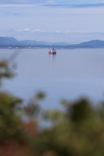 Soft-focus shot of a luxury cargo being carefully loaded, emphasizing attention to detail and care.