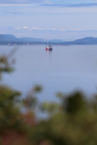 Soft-focus shot of a luxury cargo being carefully loaded, emphasizing attention to detail and care.