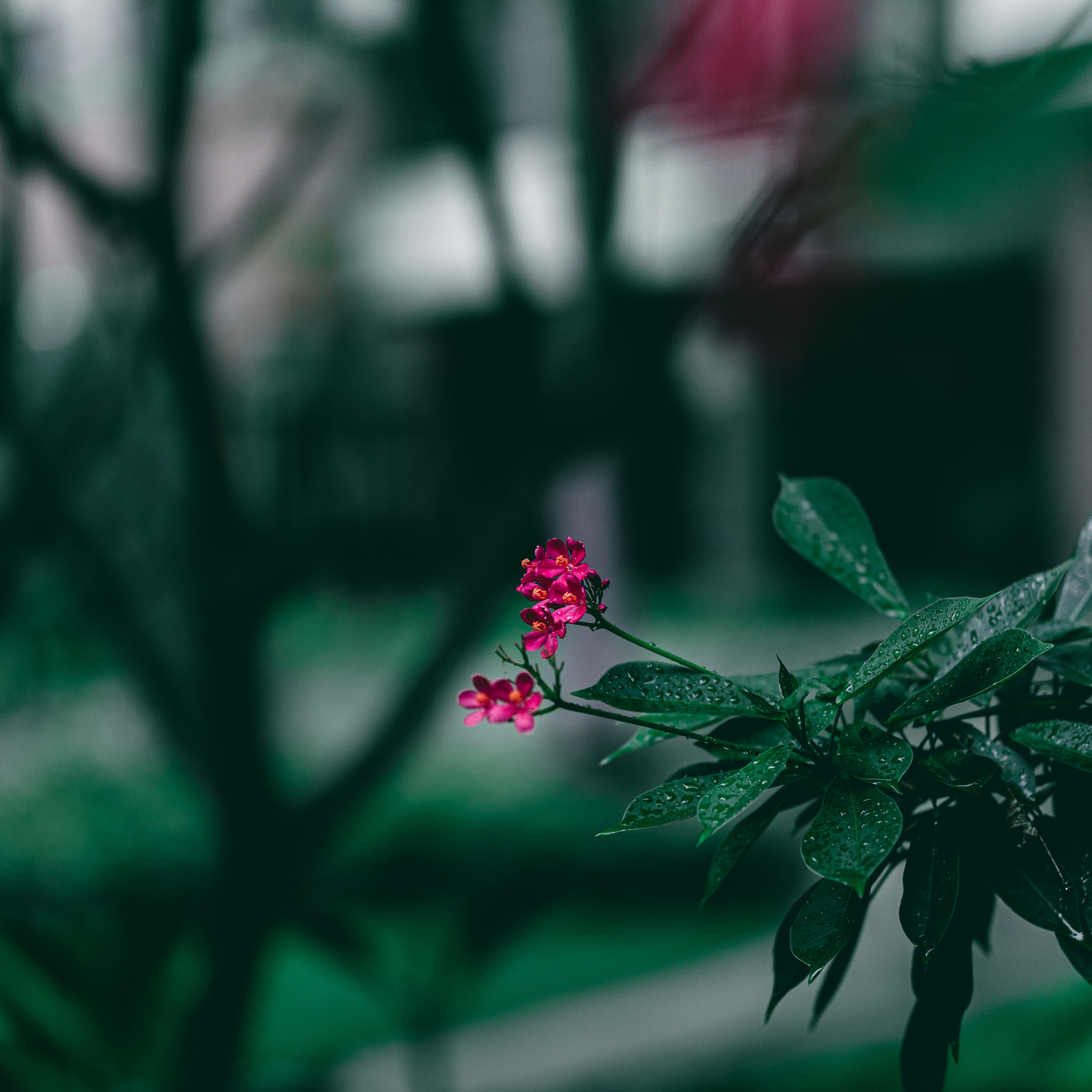Photo by jiaweizhao