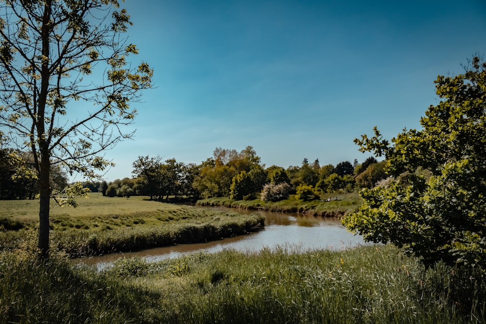 green grass field near lake under blue sky during daytime