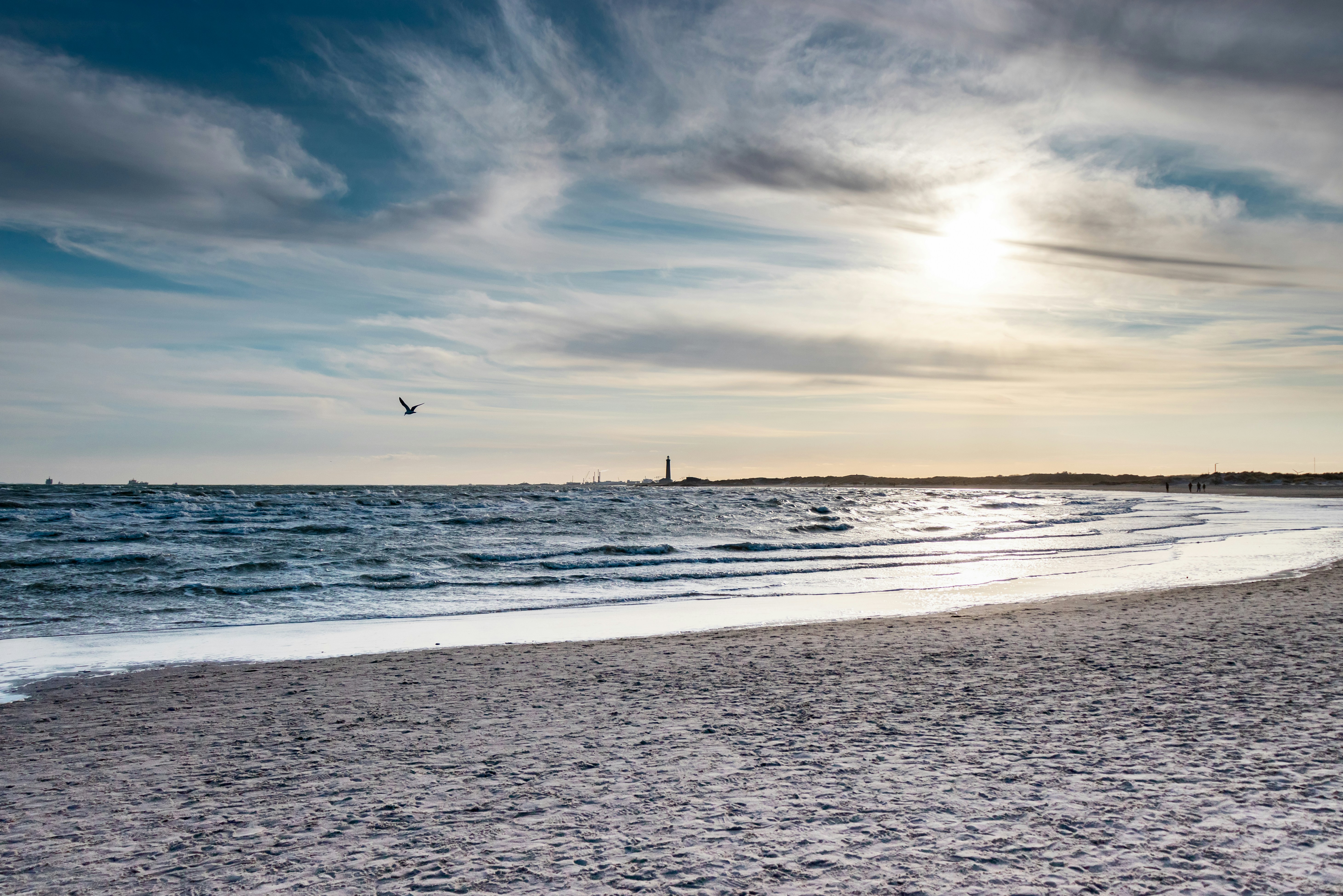 birds flying over the sea during daytime, 