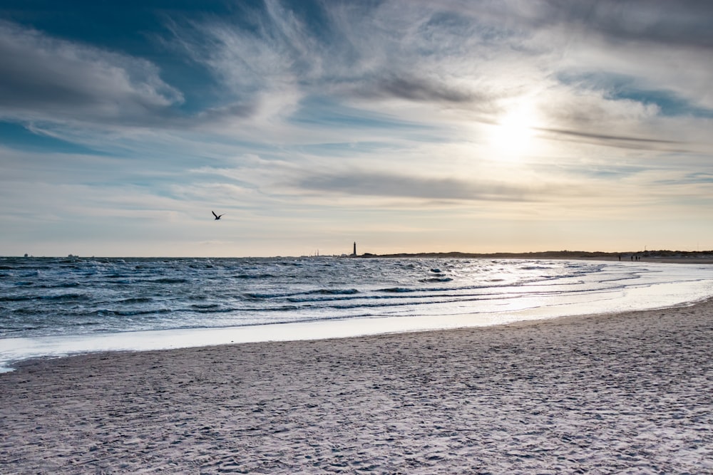 birds flying over the sea during daytime