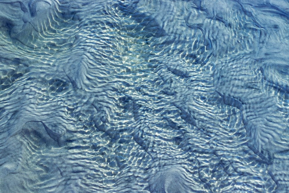 close up photo of water