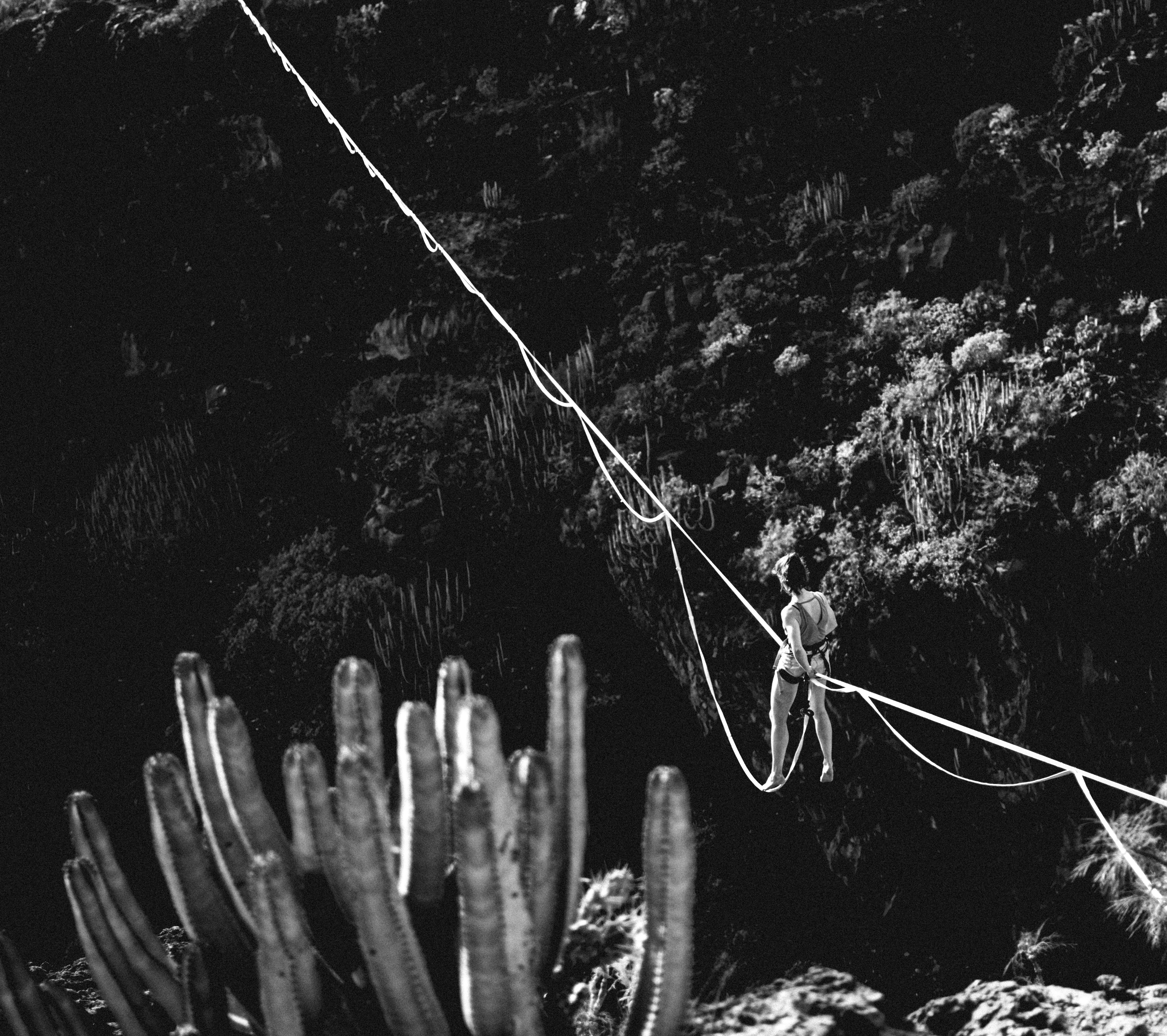 Photo by omarsotillo