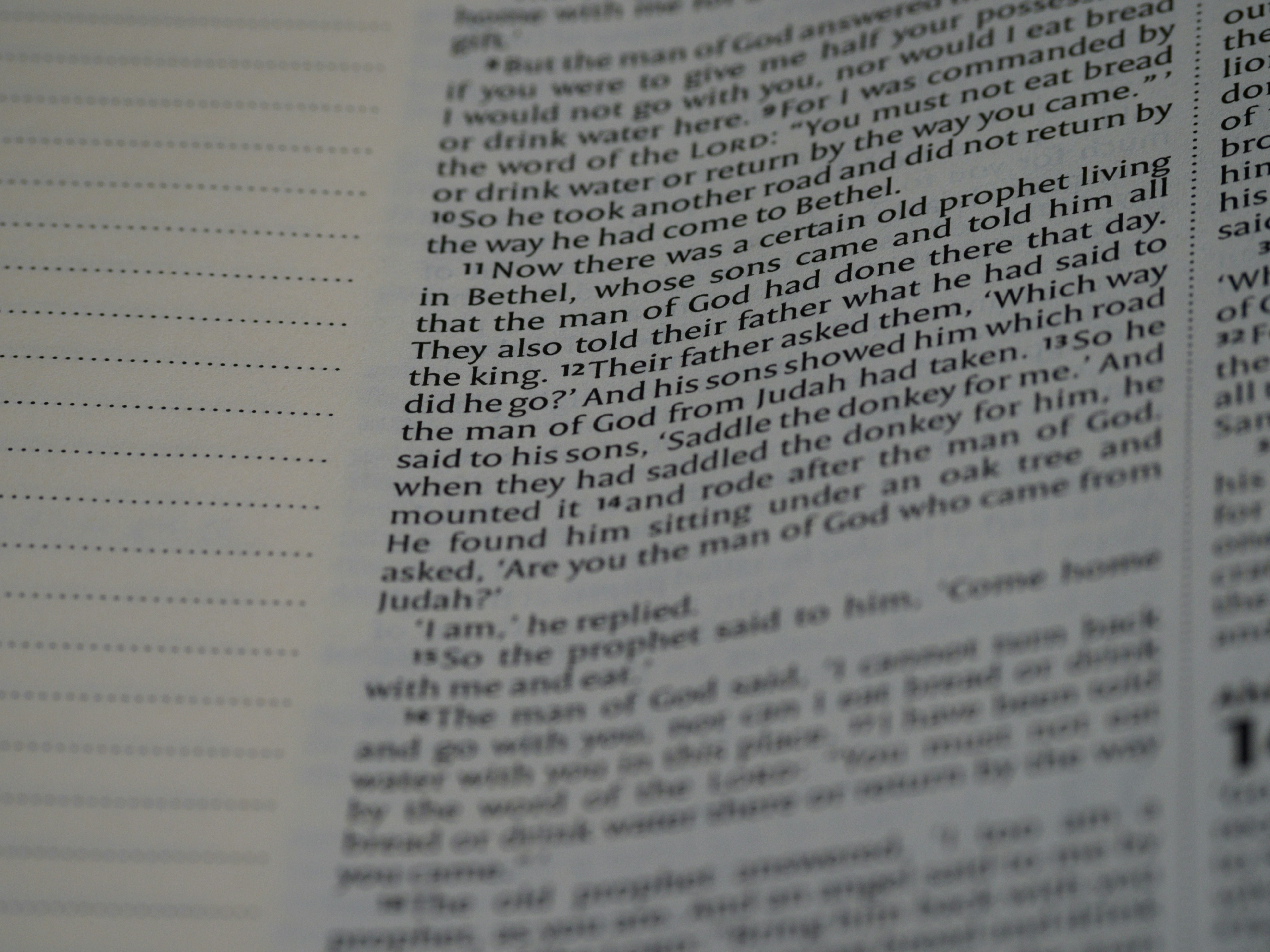 Photo by brett_jordan