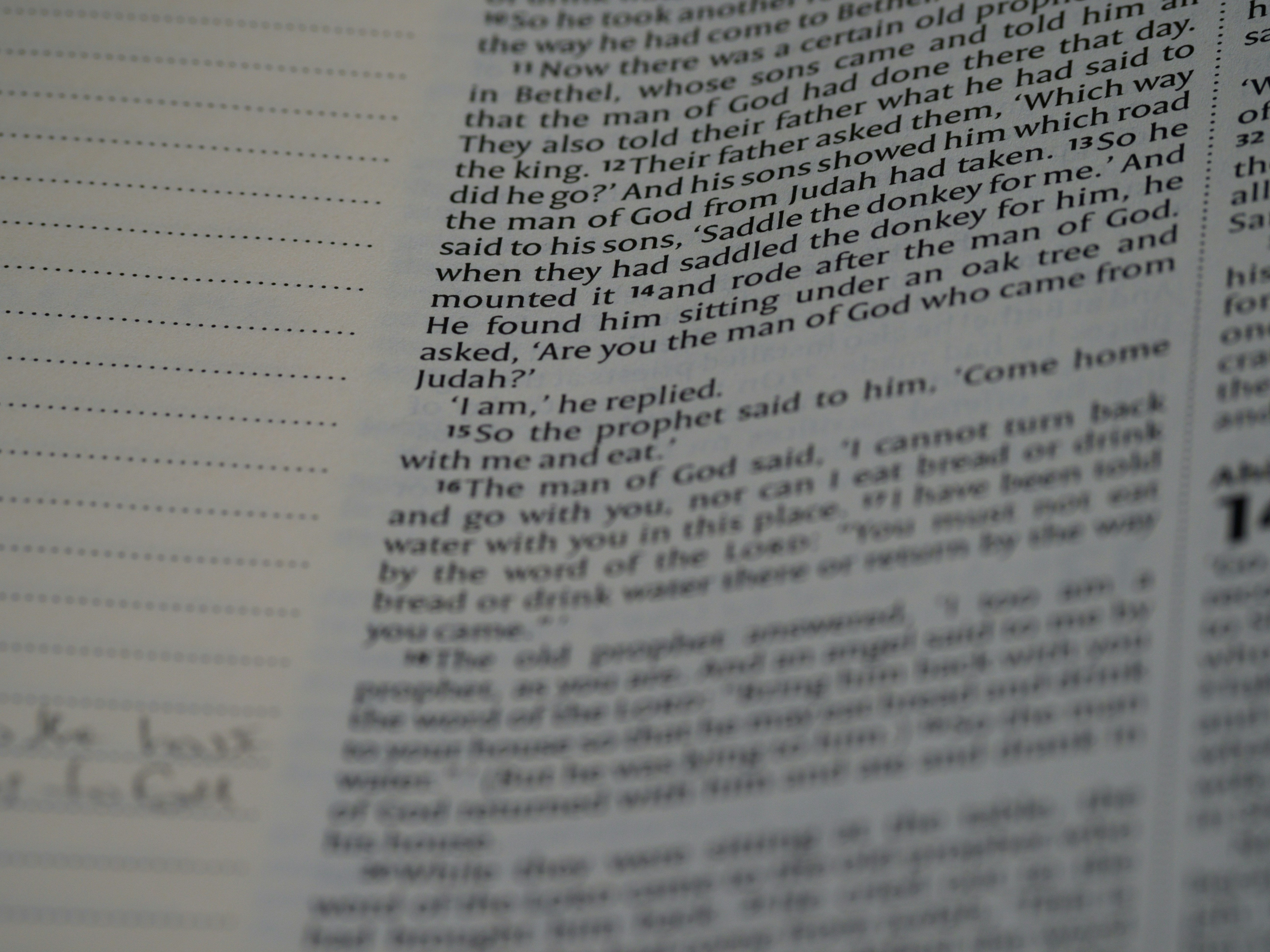 Photo by brett_jordan