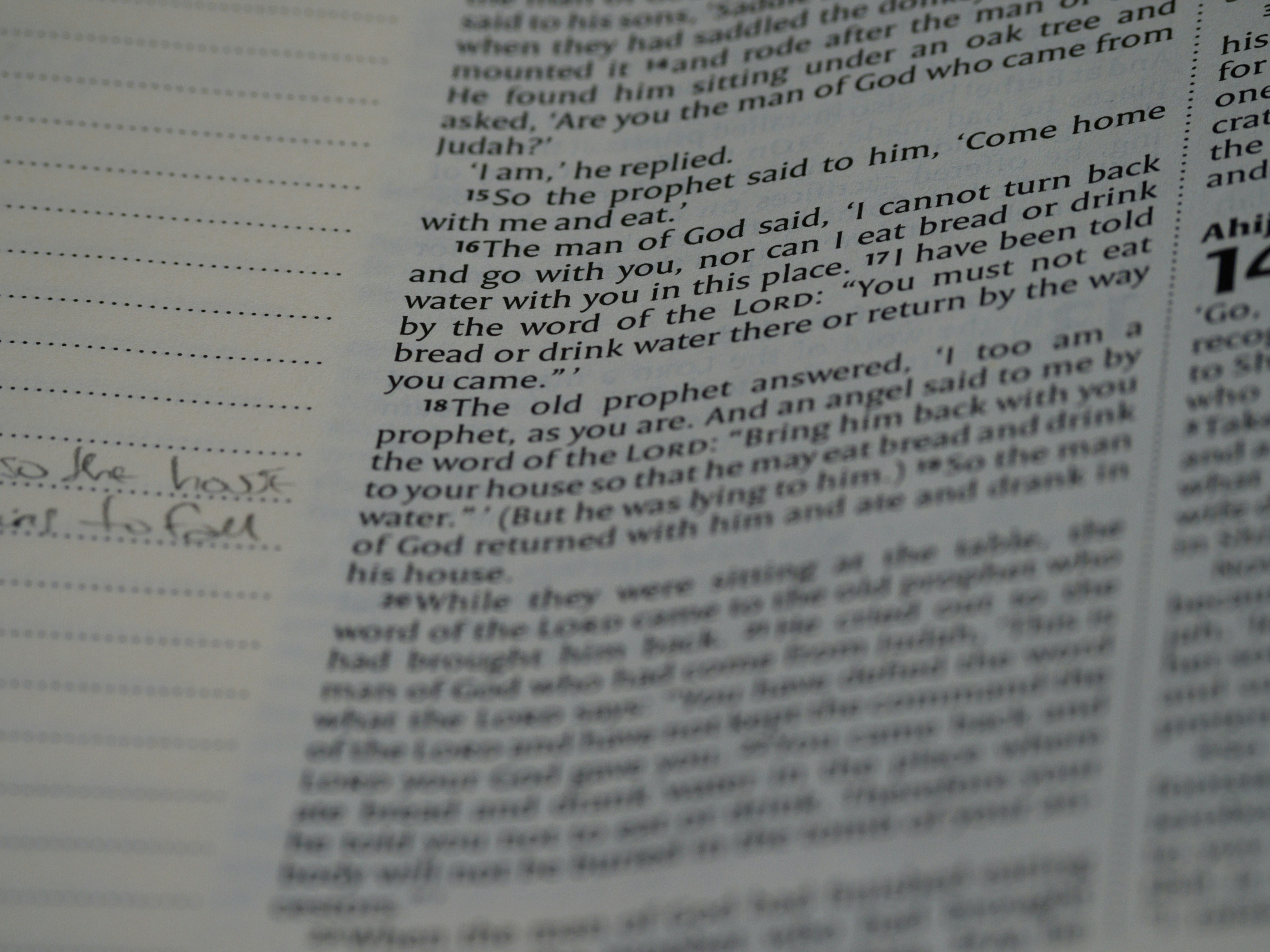 Photo by brett_jordan