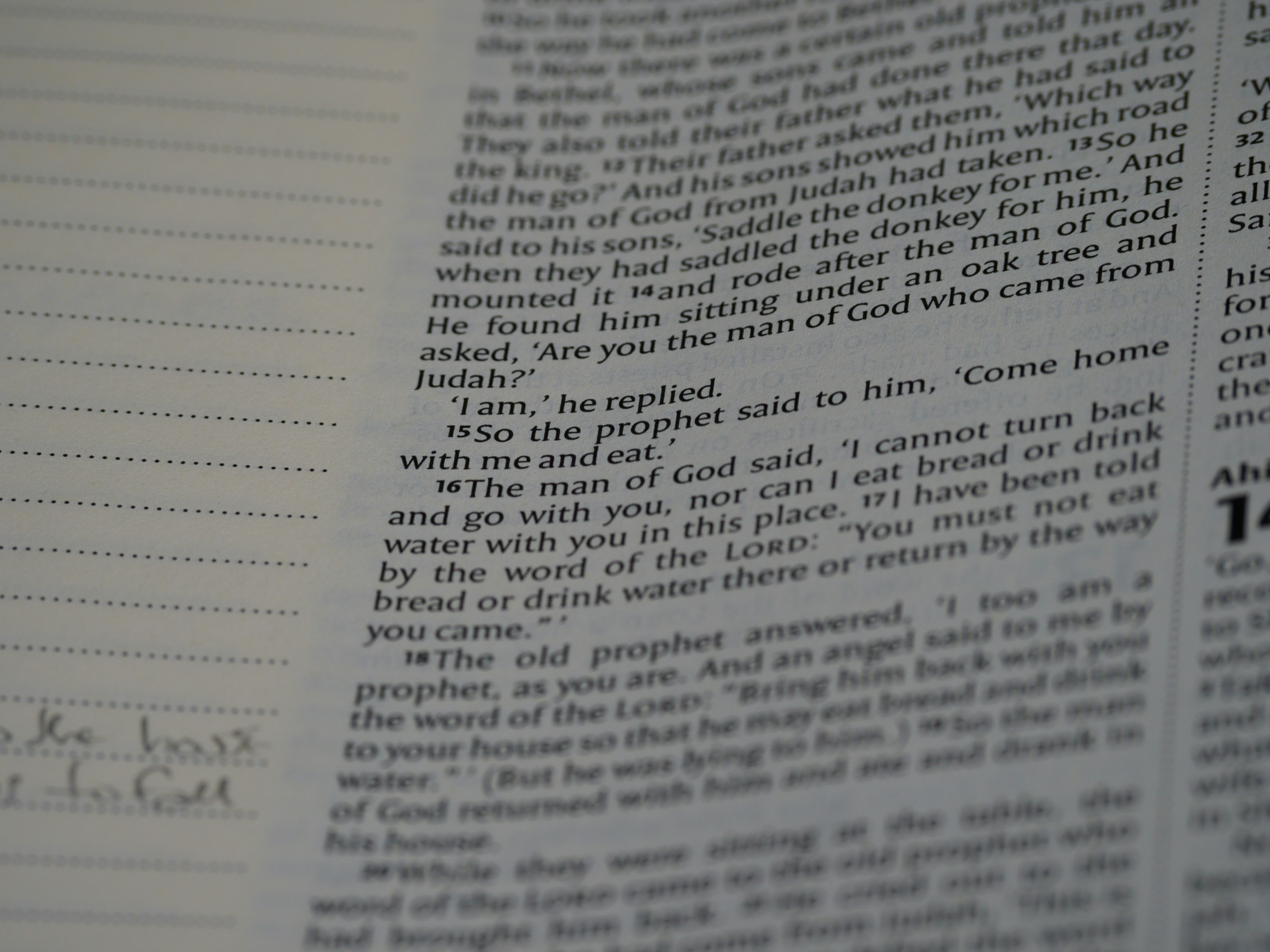 Photo by brett_jordan