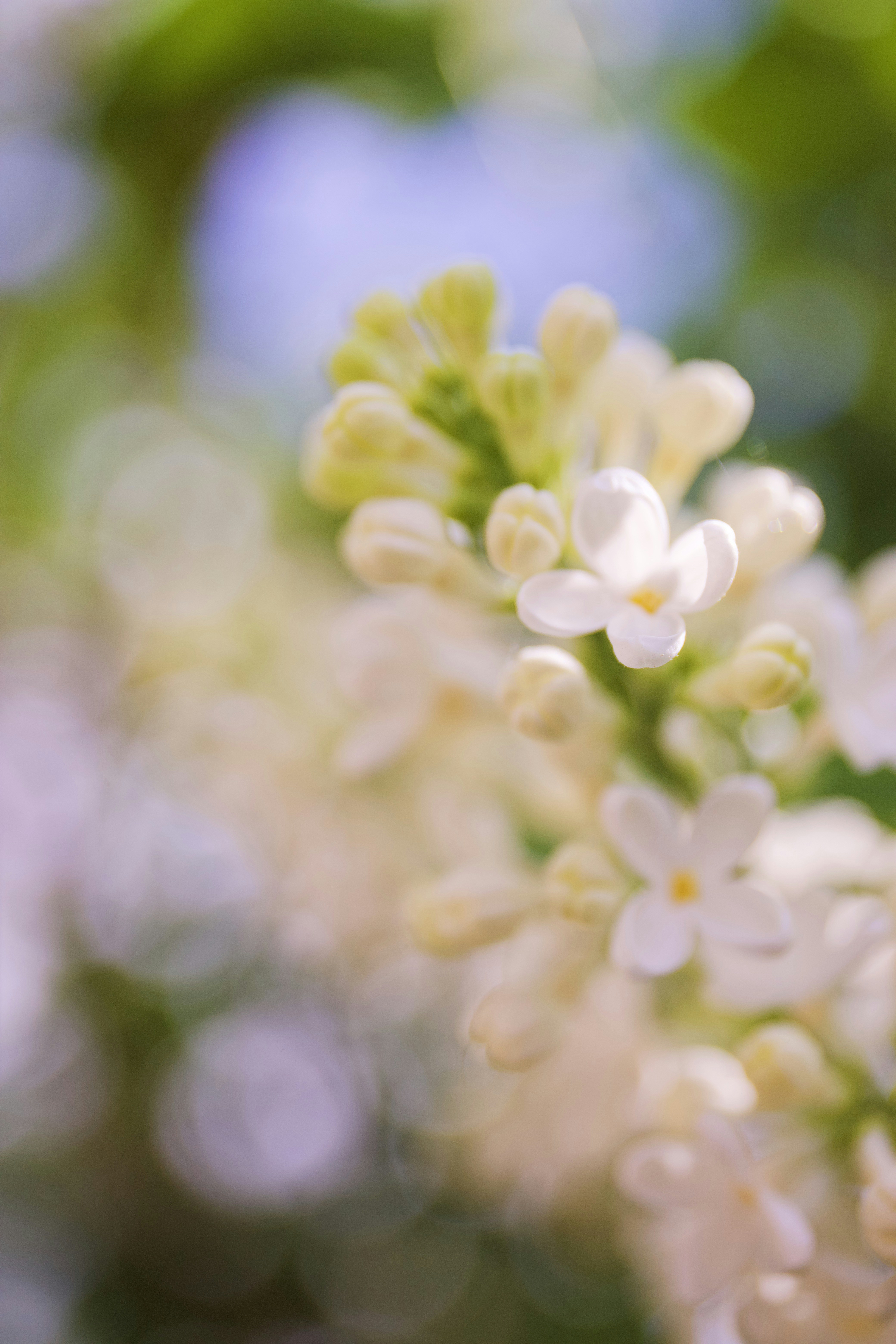 Photo by nutella3012