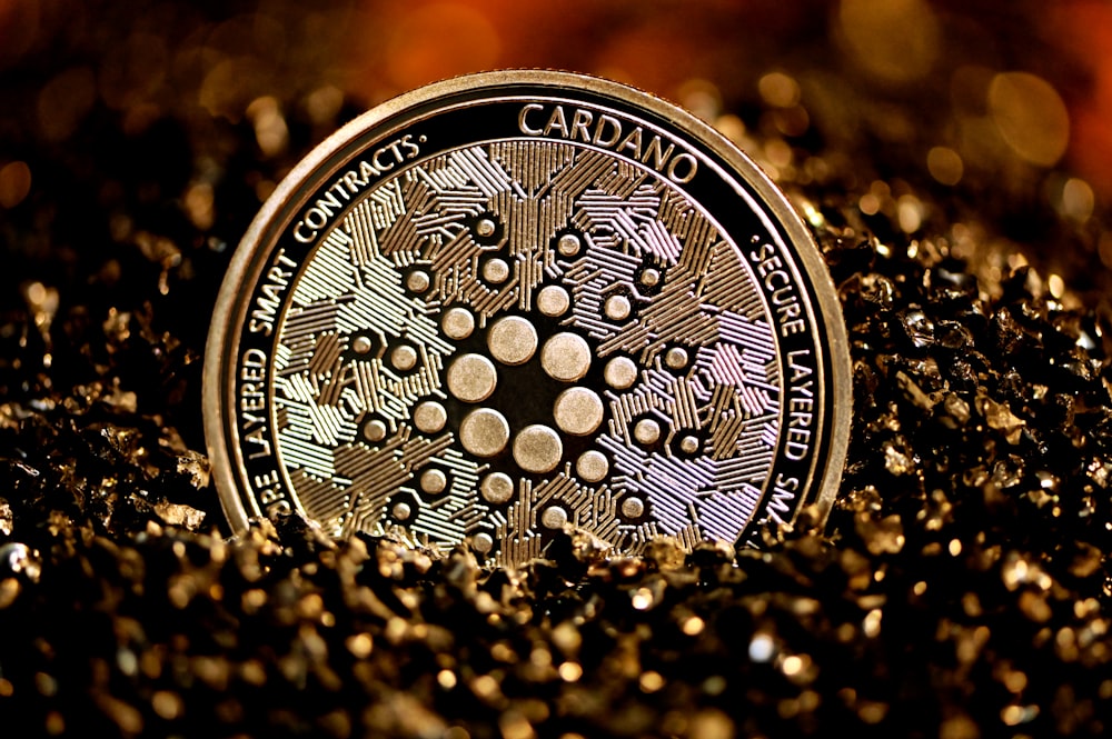 Silber und schwarze runde Münze