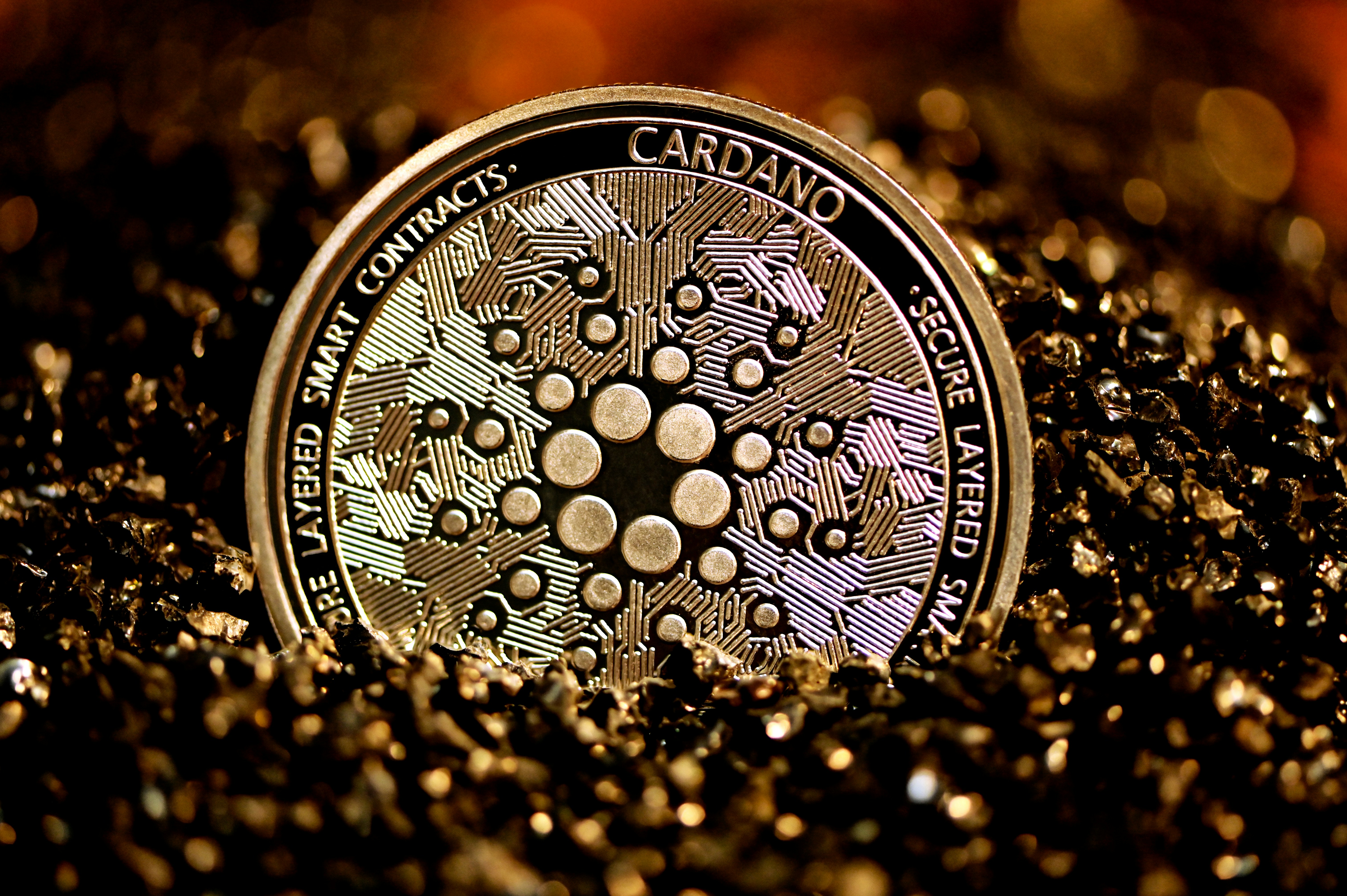 A silver Cardano (ADA) sticking out on a pile of black stones.