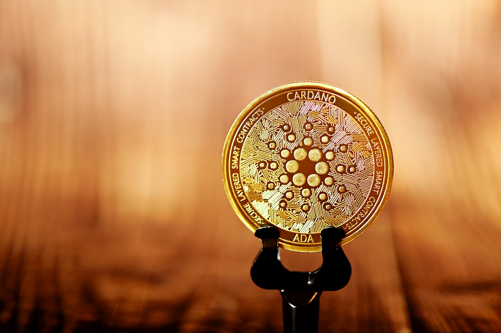 A Cardano (ADA) coin held up on a stand.