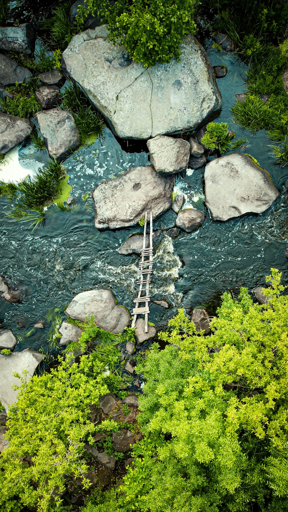 Grünes Moos auf grauen Felsen am Fluss