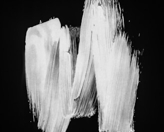 white and black abstract painting