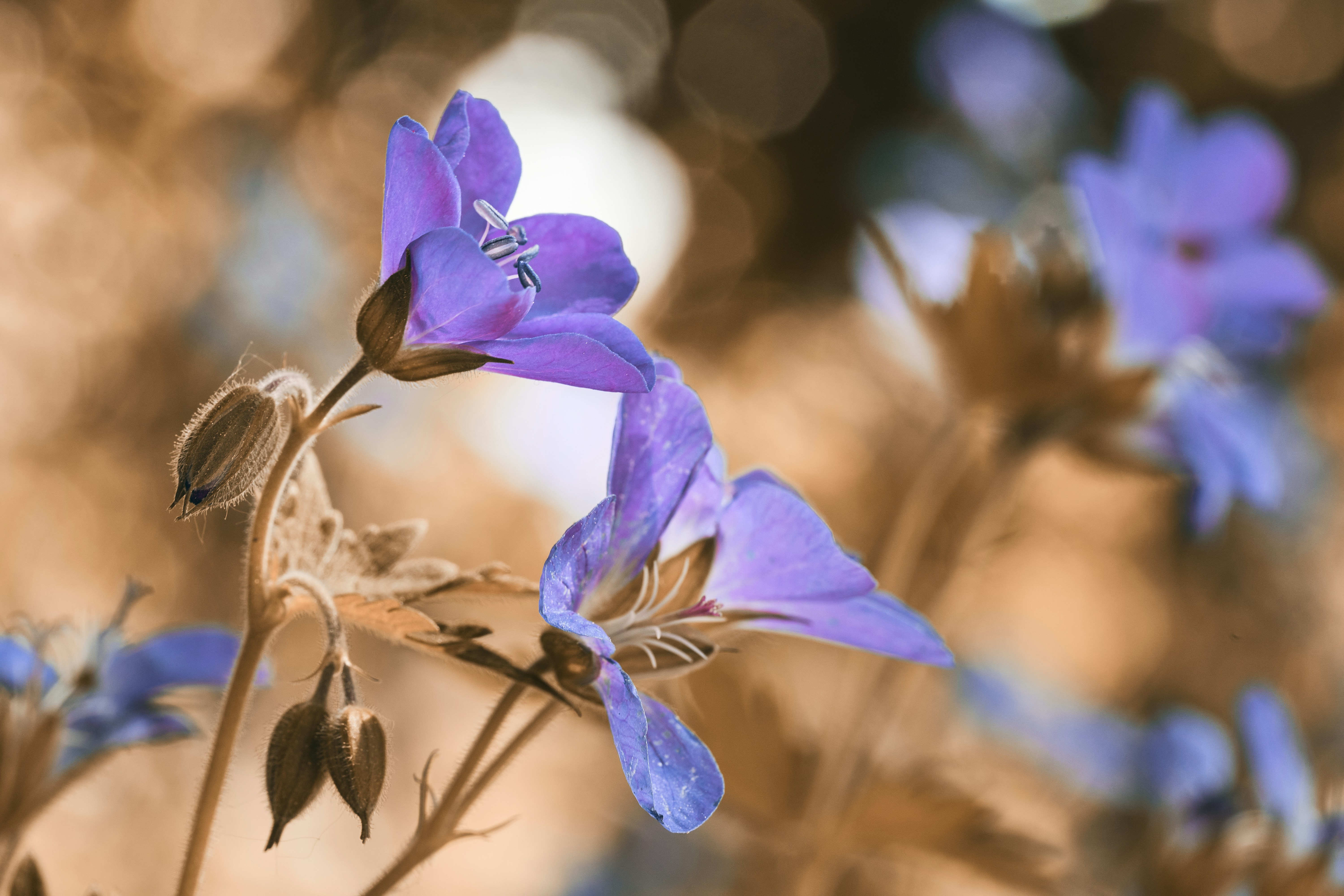 Photo by ingodoerrie