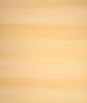 Photo 1622544841807 9ca22fddaba2?q=85&w=800&h=400&fit=crop