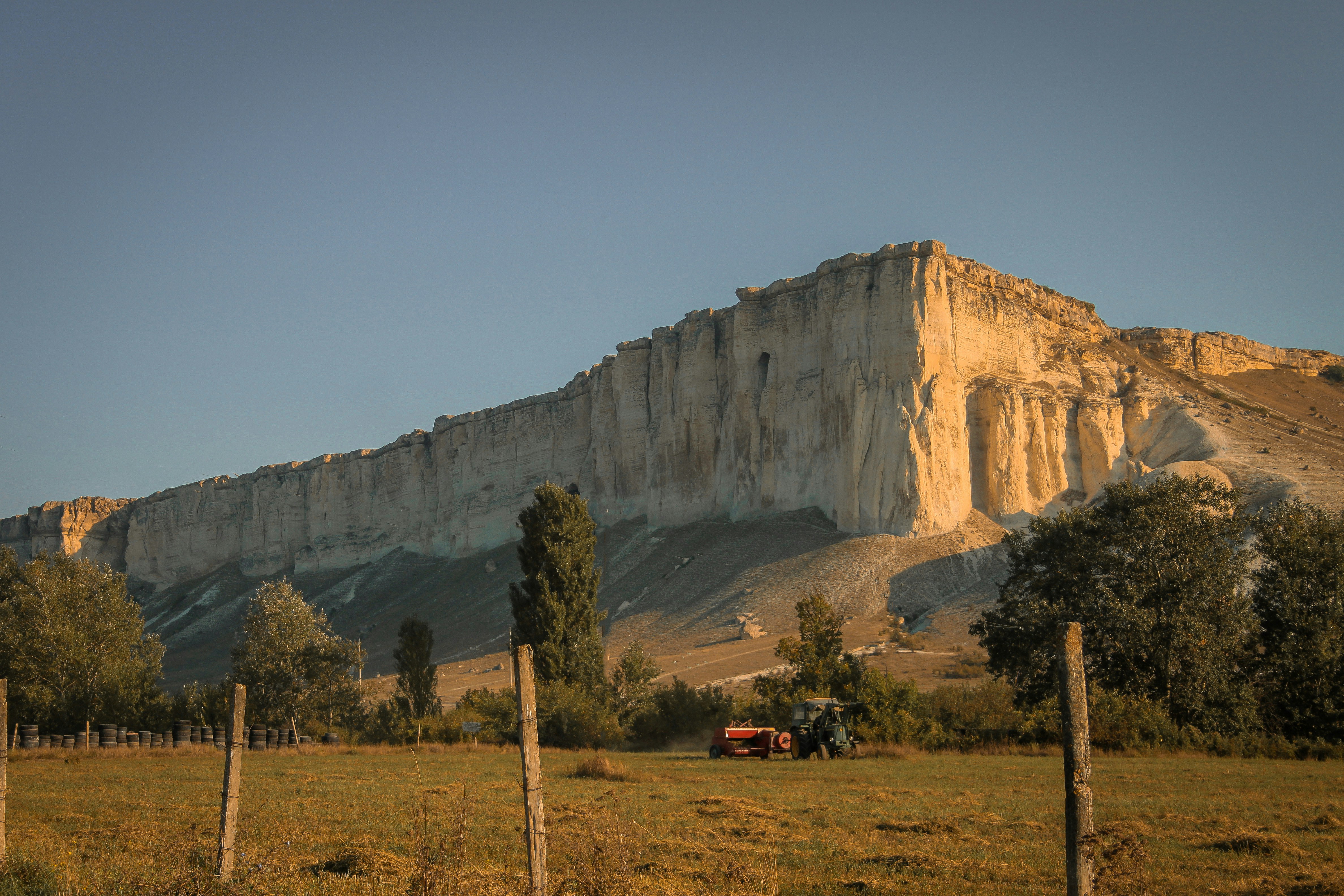 Braune Bäume in der Nähe von Brown Mountain tagsüber