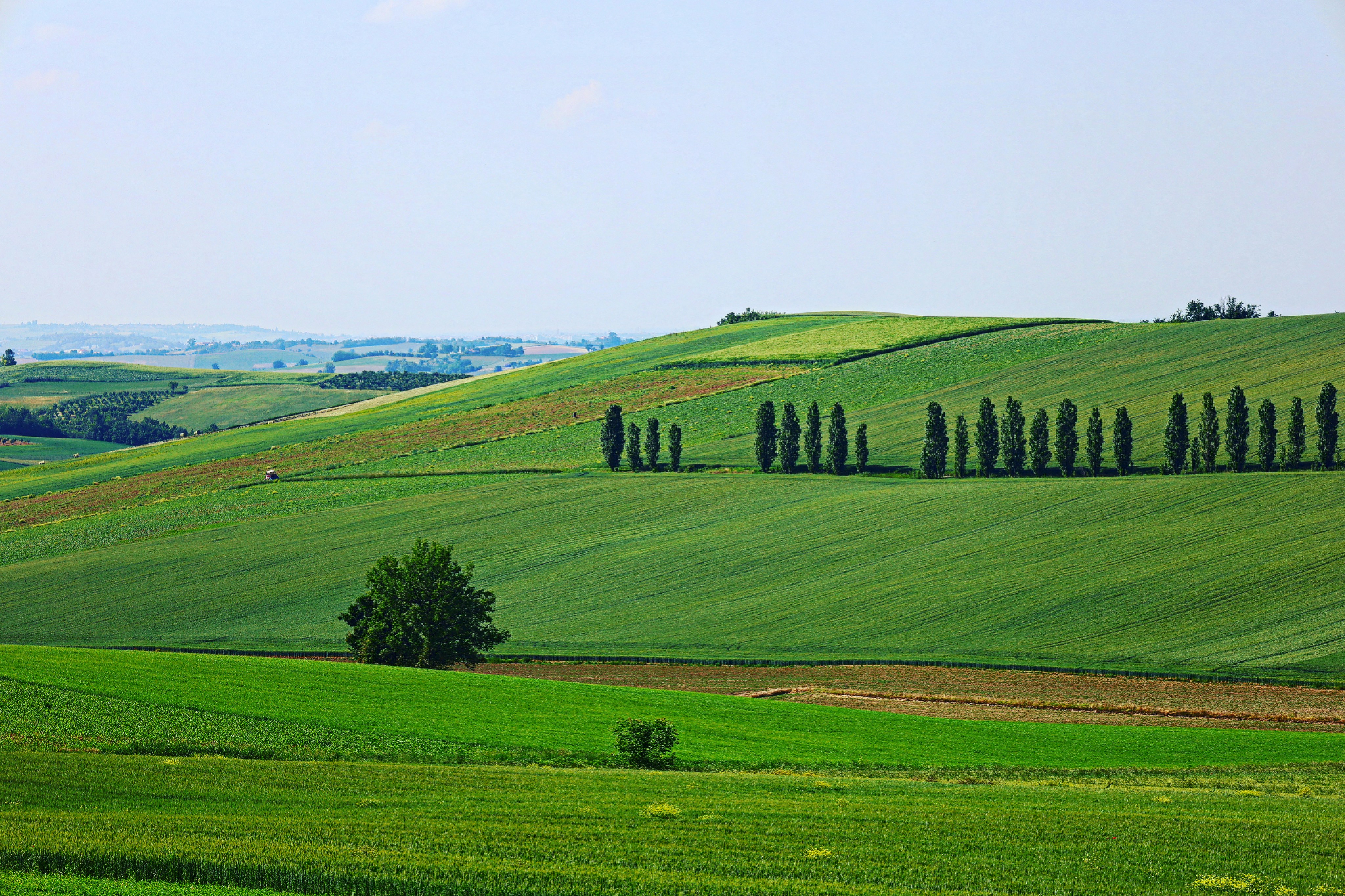 Photo by claudiopoggio