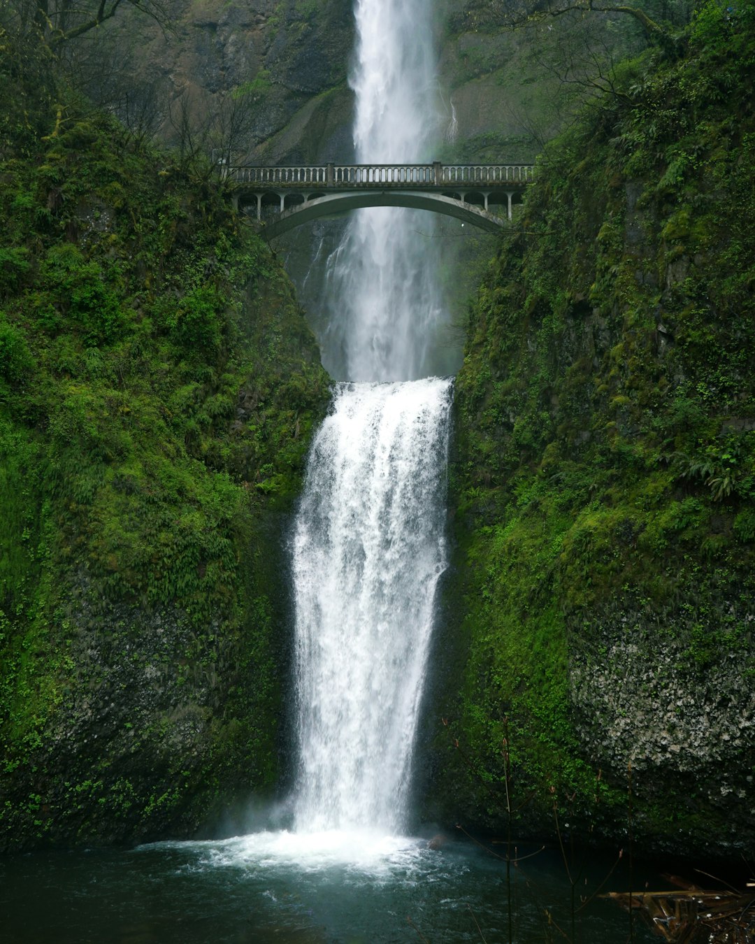 waterfalls in the middle of the forest