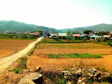 A rural landscape with open fields, a dirt path, and a small village in the background. Buildings with colorful roofs are nestled among trees, with hills in the distant horizon. The scene has a serene and pastoral feel, emphasizing the simplicity and tranquility of country life.