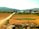 A rural landscape with open fields, a dirt path, and a small village in the background. Buildings with colorful roofs are nestled among trees, with hills in the distant horizon. The scene has a serene and pastoral feel, emphasizing the simplicity and tranquility of country life.