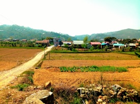 A rural landscape with open fields, a dirt path, and a small village in the background. Buildings with colorful roofs are nestled among trees, with hills in the distant horizon. The scene has a serene and pastoral feel, emphasizing the simplicity and tranquility of country life.