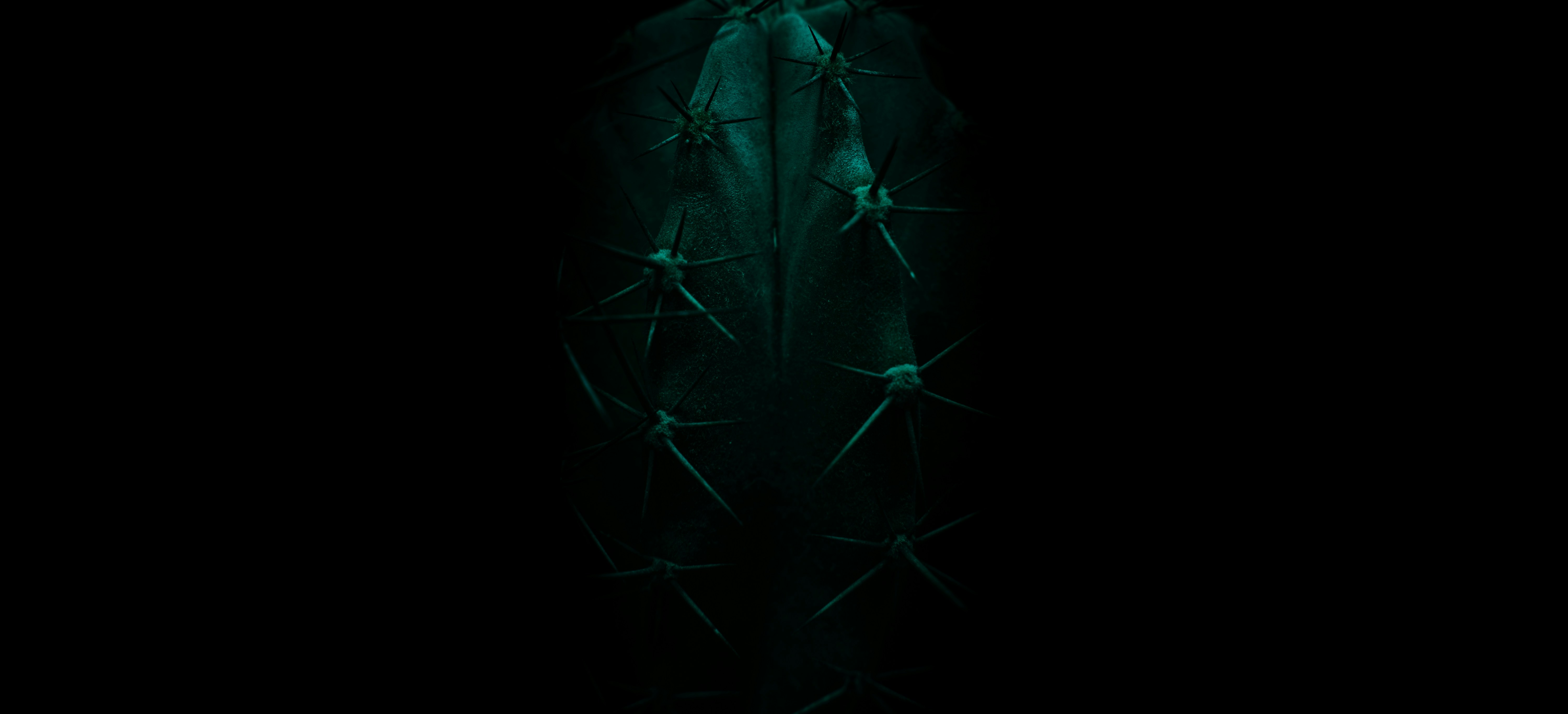 photo-1622550068828-2d604c00a30f?ixid=M3wxMjA3fDB8MXxzZWFyY2h8MTl8fGtyYWtlbiUyMGRhcmtuZXQlMjAlRDElODQlRDAlQkUlRDElODAlRDElODMlRDAlQkN8ZW58MHx8fHwxNzQ5MjIyMTE3fDA\u0026ixlib=rb-4.1.0