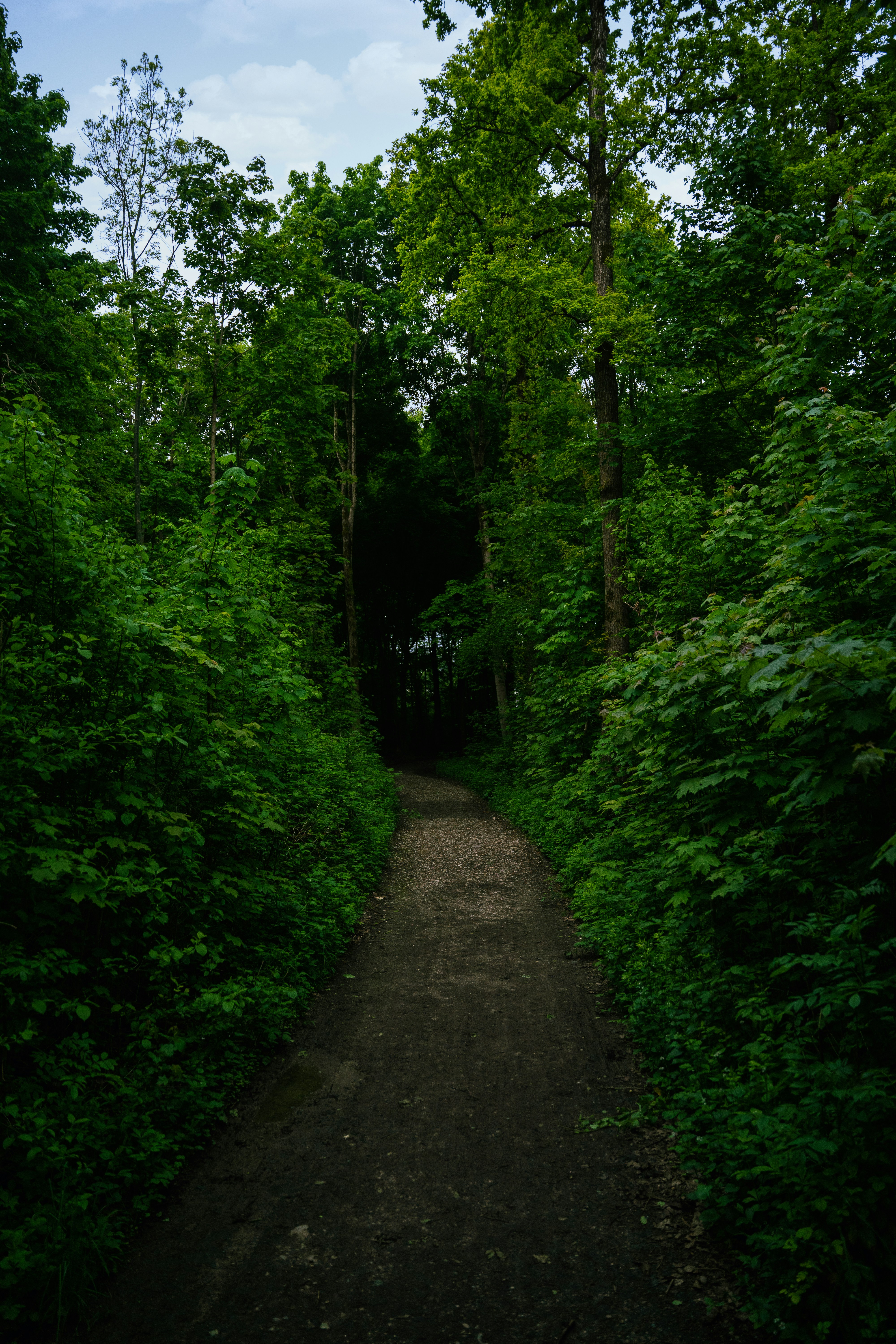 Photo by ps_composition