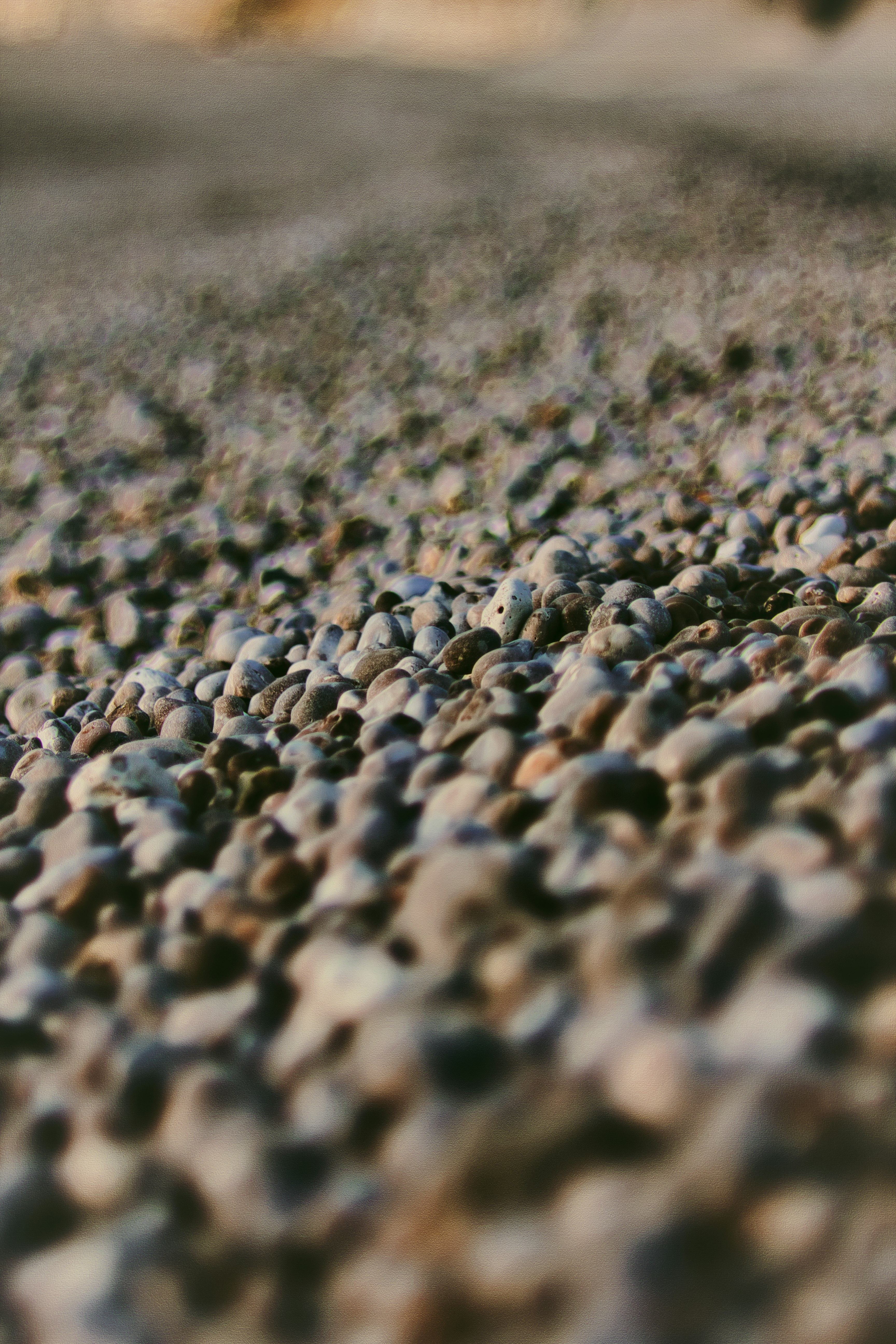 black and white stones on brown sand during daytime