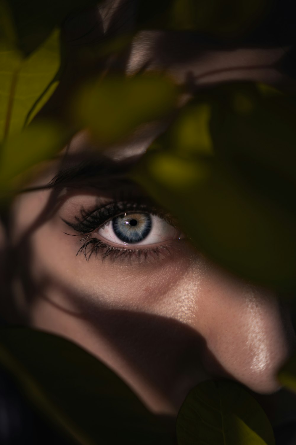 womans eyes with green leaves