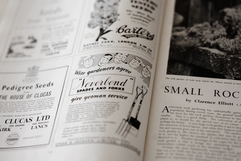 vintage picture from a magazine showing page of advertisements