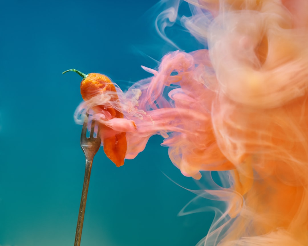 orange flower in macro lens