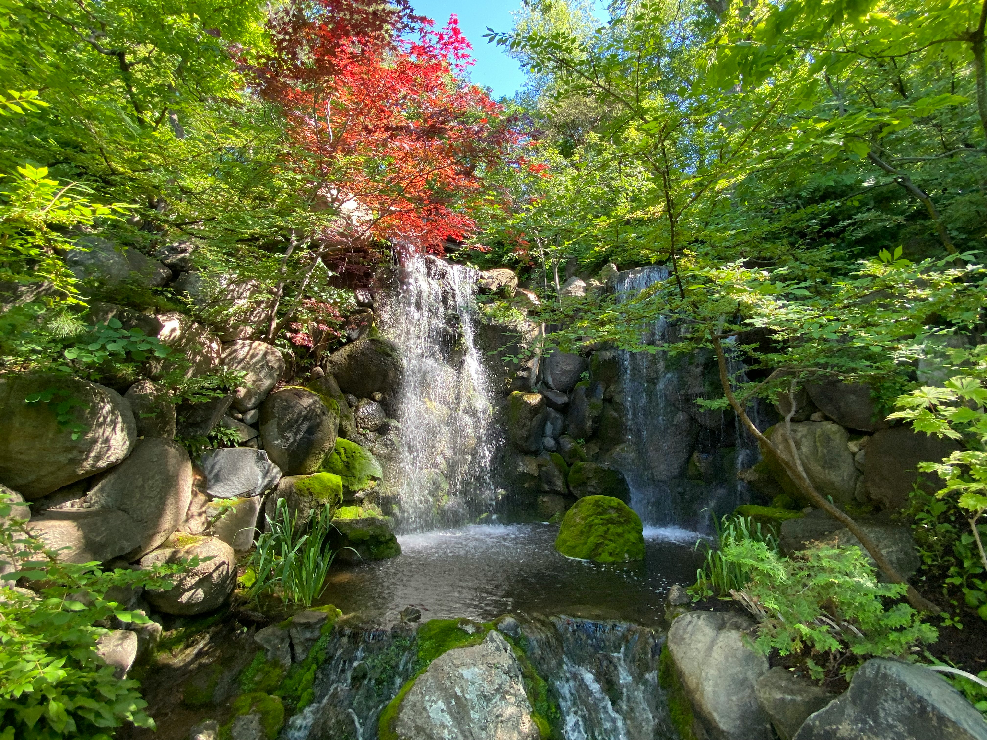 water falls in the middle of rocks